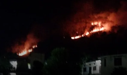 उत्तराखंड में बांज के जंगलों तक पहुंची आग, सरकार ने