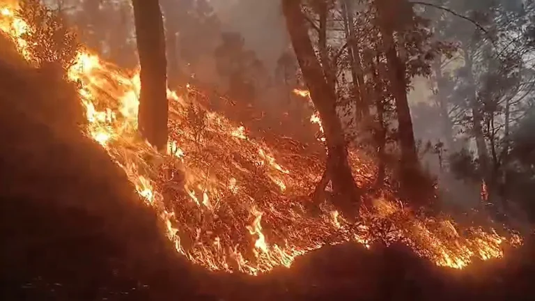 देहरादून बना उत्तराखंड का नया ‘हॉटस्पॉट’: 74 हेक्टेयर जंगल जला,