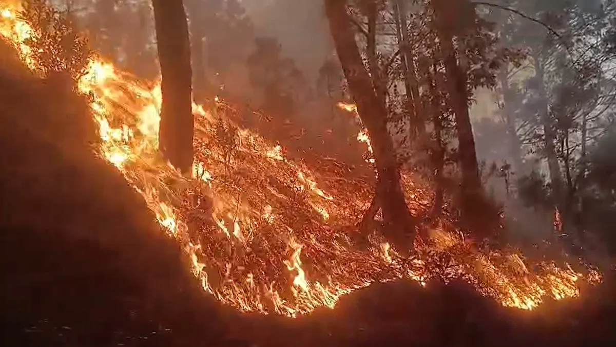 देहरादून बना उत्तराखंड का नया ‘हॉटस्पॉट’: 74 हेक्टेयर जंगल जला,