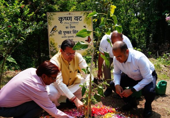 धामी ने किया 3-बी गार्डन का शुभारंभ, मधुमक्खी-तितली-पक्षियों को मिलेगा