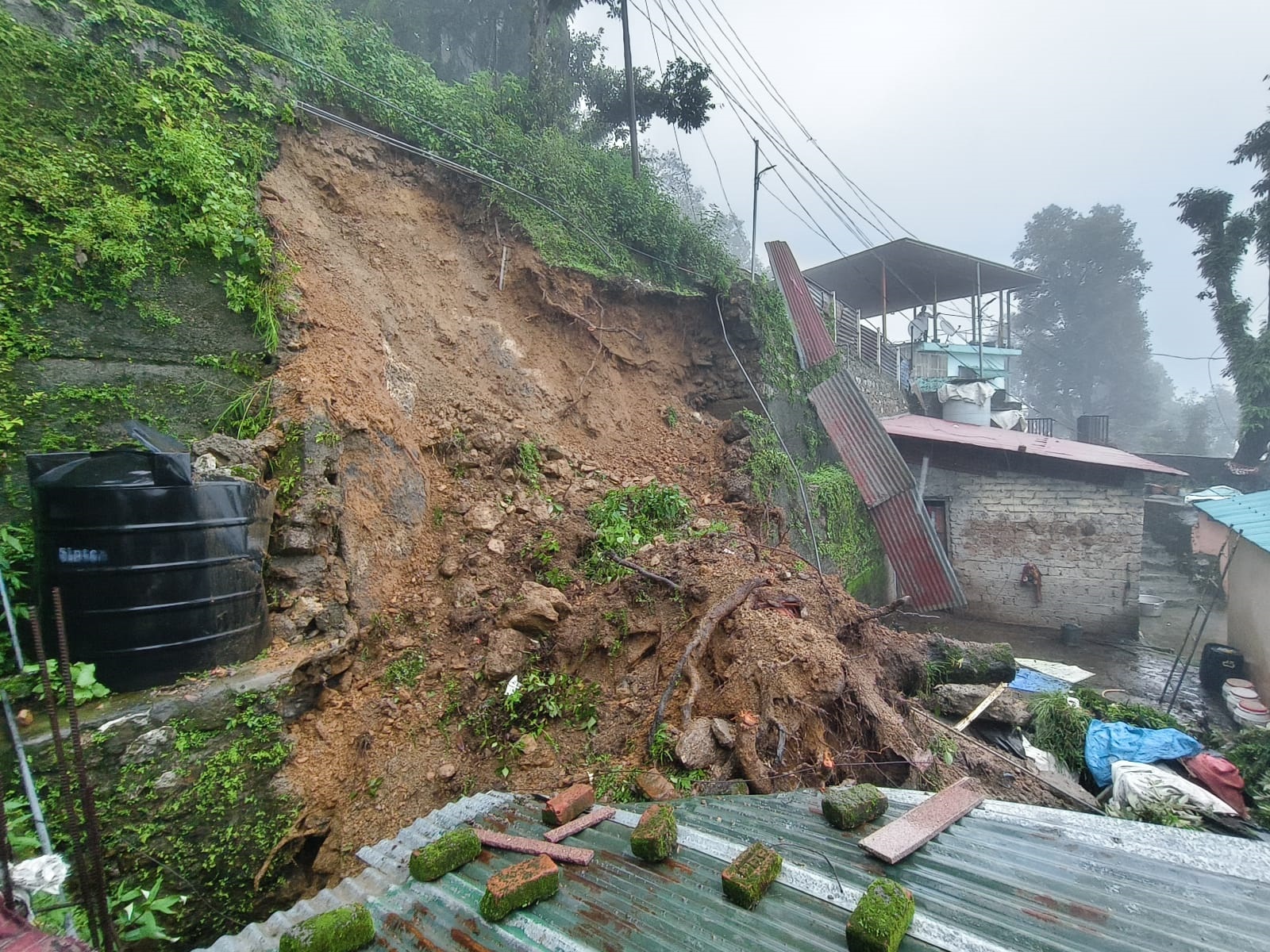 Rain havoc: Family has narrow escape as trees fall on