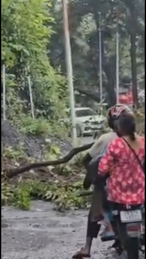 Rain impacts Mussoorie: Landslides at two locations disrupt traffic briefly