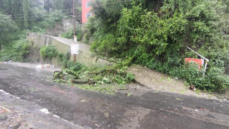 Red Alert in Mussoorie; Torrential rain disrupts daily life