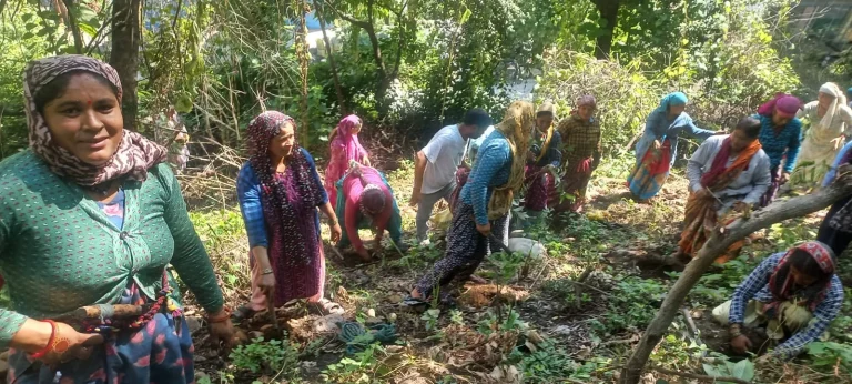 कारगिल विजय दिवस पर मिशन हरियाली ही हरियाली ने किया