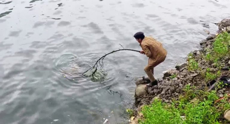 नैनीताल में बढ़ रहीं आत्महत्या की घटनाएं, एक हफ्ते में