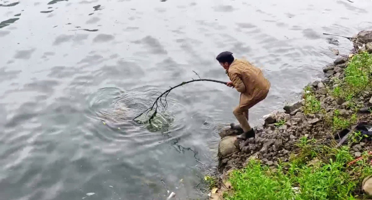 नैनीताल में बढ़ रहीं आत्महत्या की घटनाएं, एक हफ्ते में