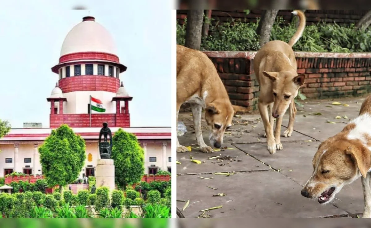 बच्चों पर कुत्तों के हमले: उत्तराखंड हाईकोर्ट ने सरकार को