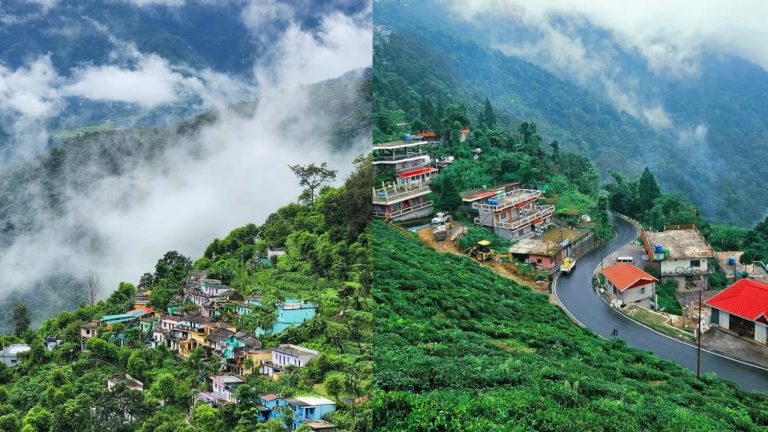 मसूरी के जबरखेत मॉडल से चमकेगा उत्तराखंड का पर्यटन, वन