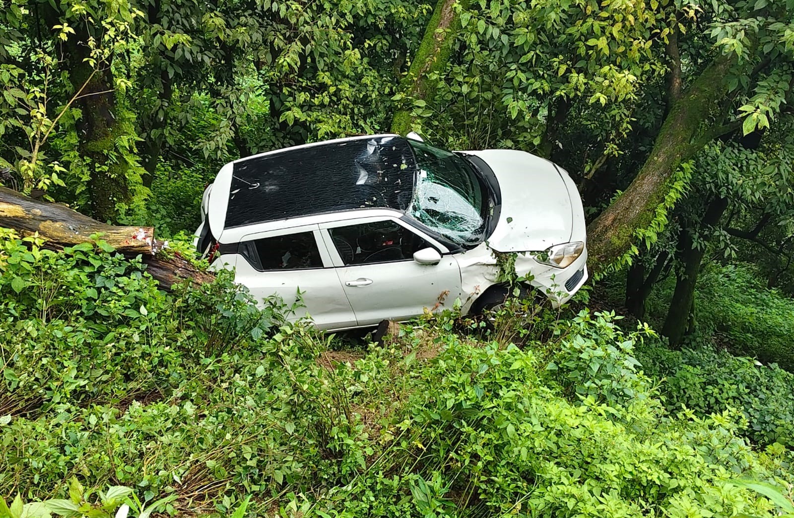 Car plunges down hillside in Mussoorie; 2 youths have narrow