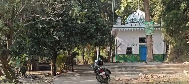 Illegal mazars mushroom inside Rajaji Tiger Reserve despite crackdown