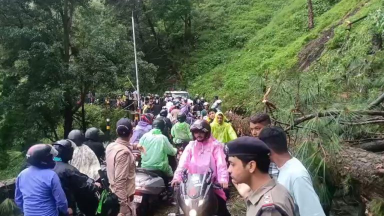 Nainital News: हल्द्वानी मार्ग पर पेड़ गिरते ही एक्टिव हुए