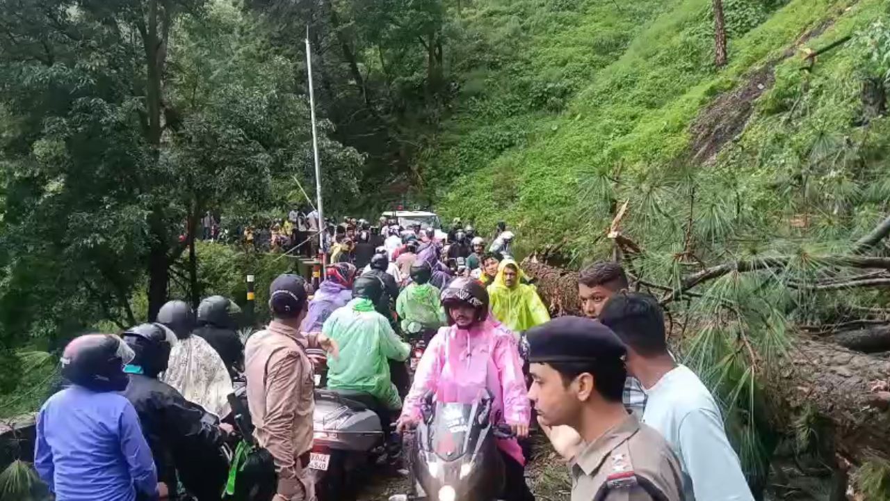 Nainital News: हल्द्वानी मार्ग पर पेड़ गिरते ही एक्टिव हुए