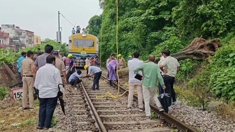 Train traffic back on rails