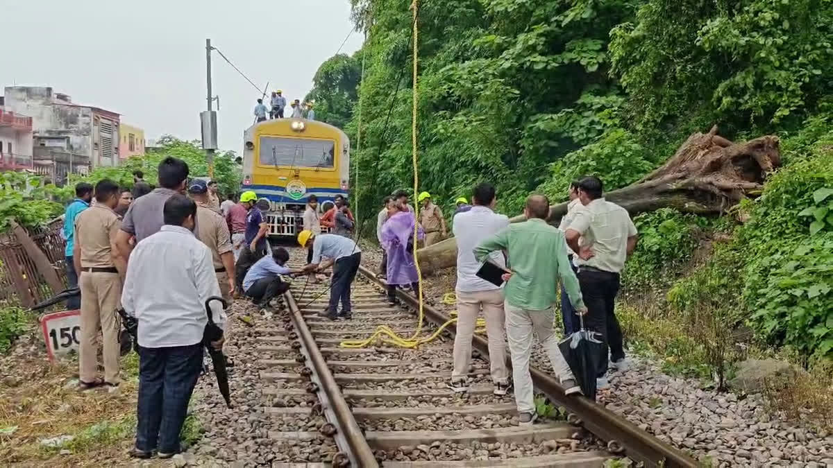 Train traffic back on rails