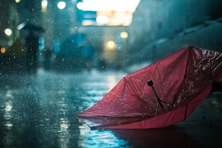 Uttarakhand weather update: Rains to continue in these districts on