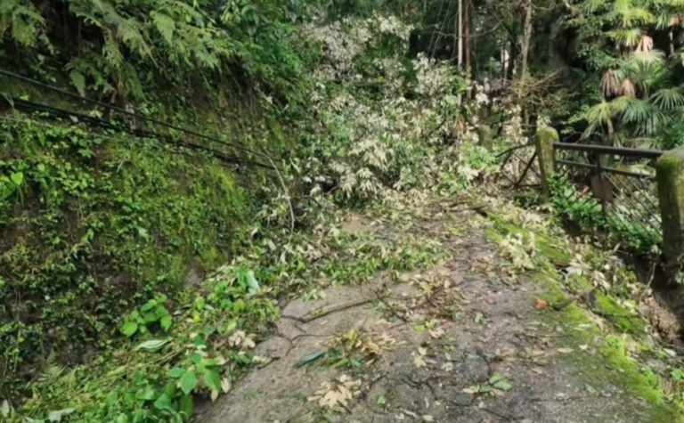 Waverley’s old footpath blocked by fallen trees & debris in