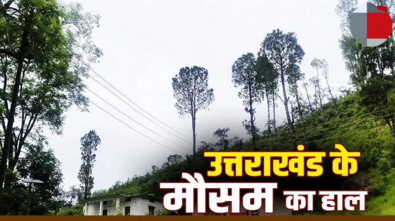 उत्तराखंड में 1 सितंबर तक बारिश का अलर्ट, 30 को