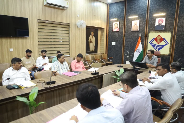 राजस्व वसूली में ढिलाई पर बरतेगी सख्ती, डीएम ने दी