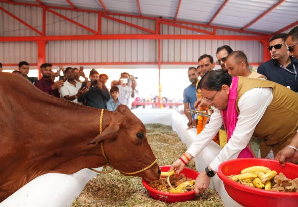 CM inaugurates cow shelter costing Rs 7.23 crore in Haldighera