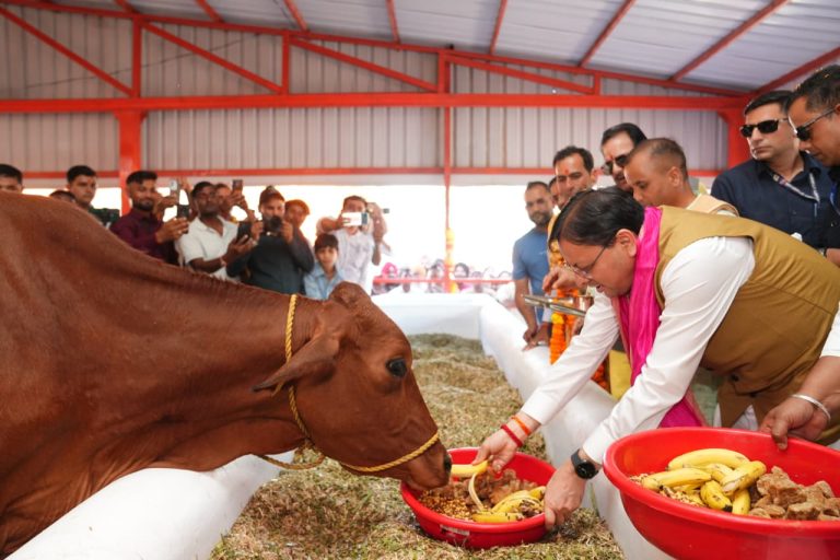 CM inaugurates cow shelter costing Rs 7.23 crore in Haldighera