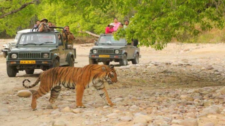 उत्तराखंड में पर्यटन का रिकॉर्ड ब्रेक उछाल, लेकिन कुदरत और