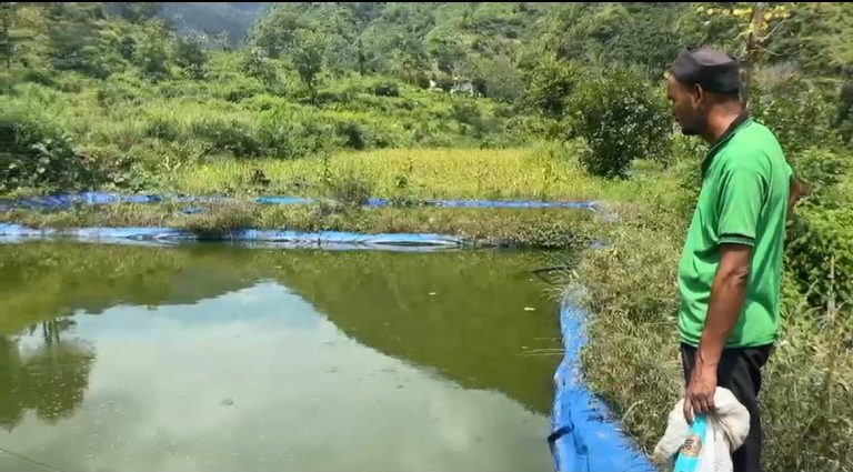 मछली पालन से स्वरोजगार की मिसाल पेश कर रहे पाबौ के राजेंद्र चमोली