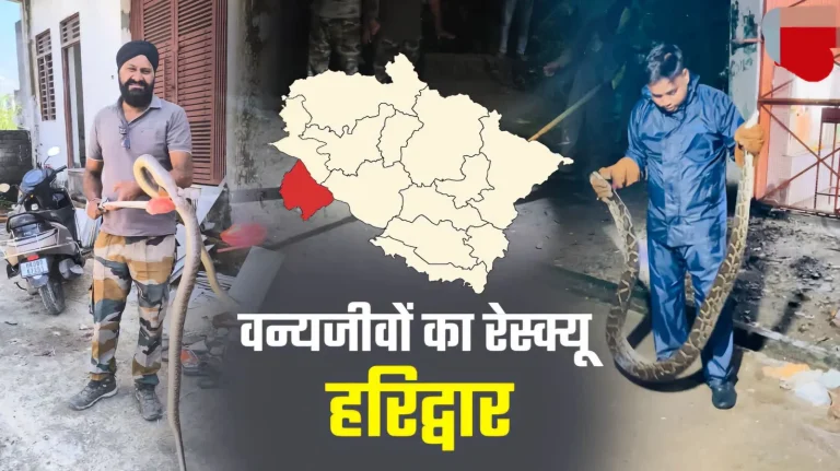 डरावना आंकड़ा! हरिद्वार में 2221 वन्यजीव रेस्क्यू, जहरीले सांपों ने