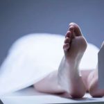 भाबर में बड़ा हादसा: पेड़ गिरने से एक की मौत, दूसरा गंभीर घायल